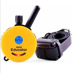 ECollar. MiniEducator